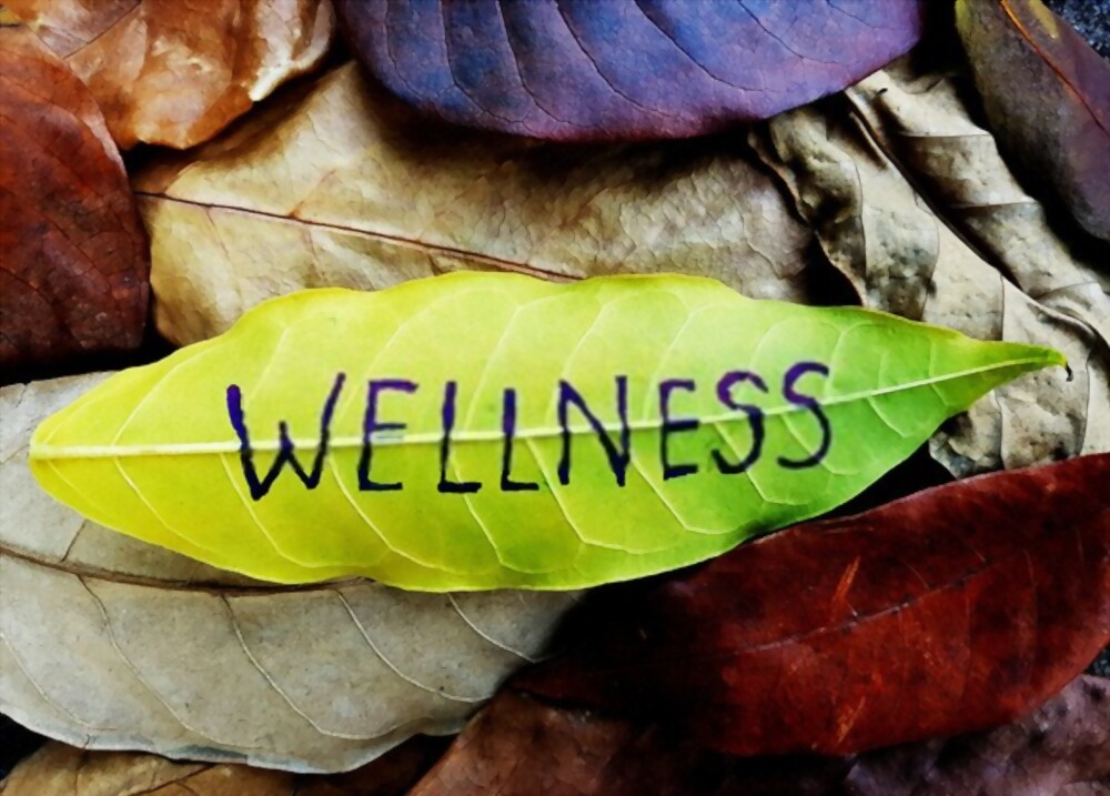 What Do Health and Wellness Include?
