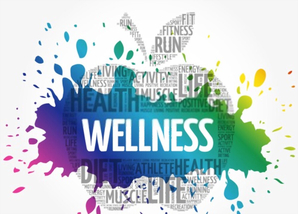 What is Wellness Defined?