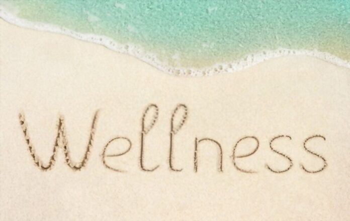 What is Wellness in Your Words?
